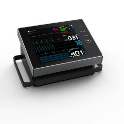 Patient Vital Signs Monitor